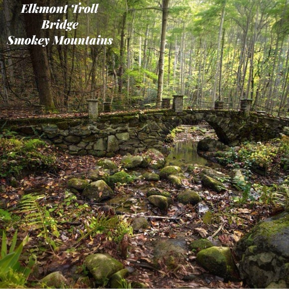 Meet your Posher, Laura - Picture 4 of 5